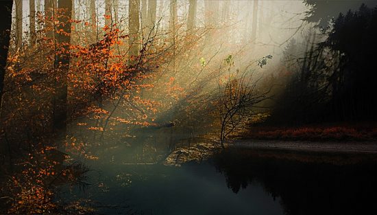 Gallery_2_Project_1_alt